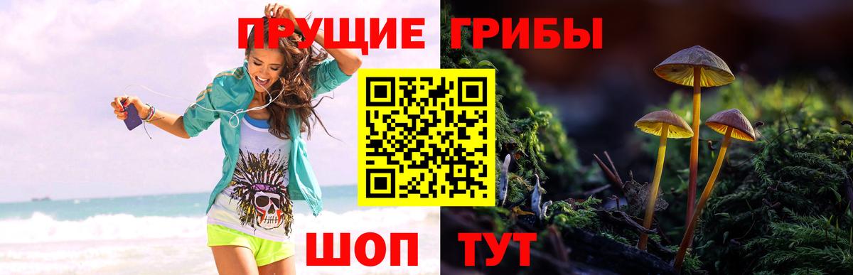 Псилоцибиновые грибы мицелий  цены   Рассказово  Вход с VPN 